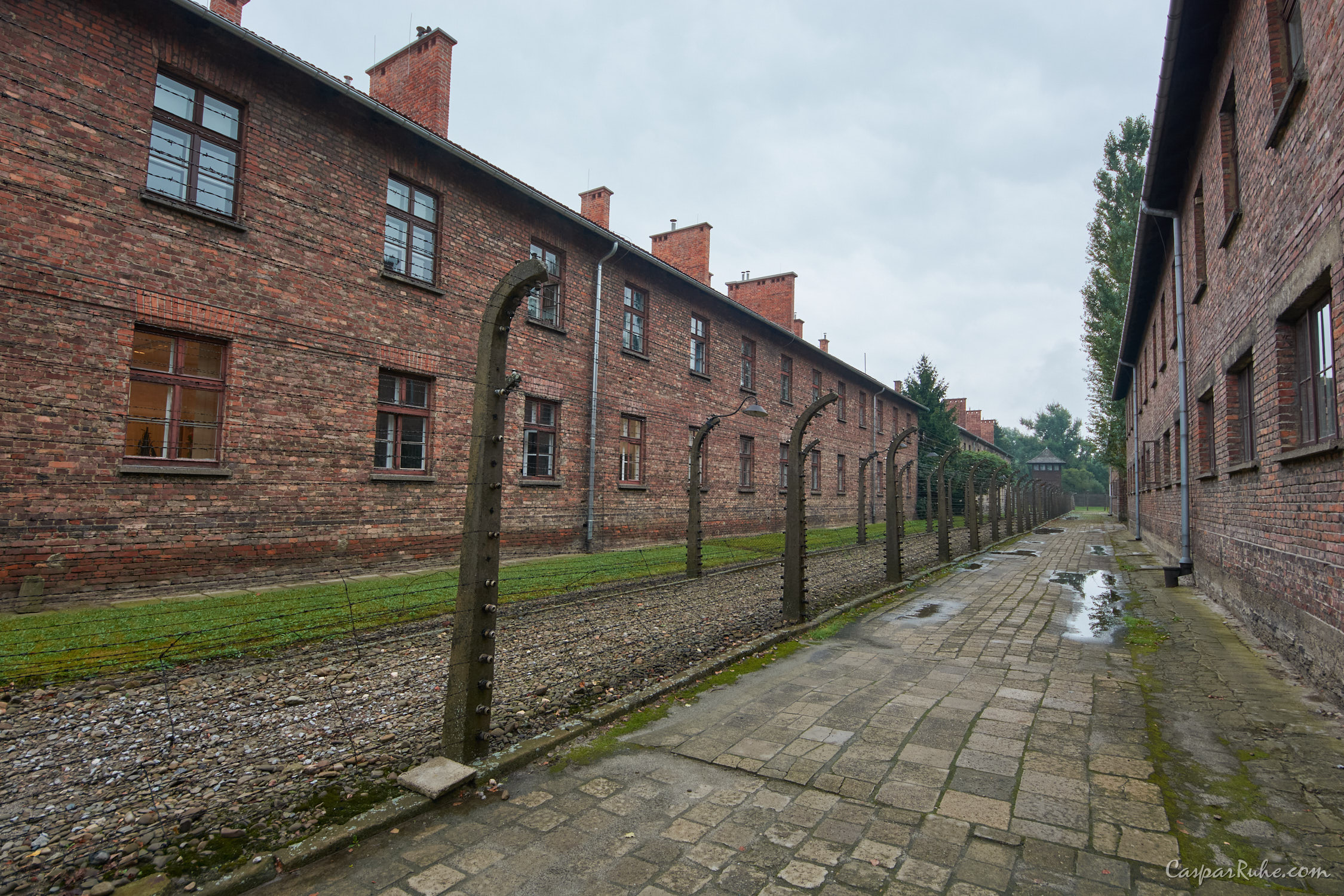 Auschwitz-Birkenau